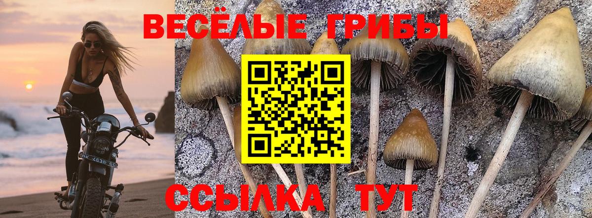 Псилоцибиновые грибы ЛСД Наро-Фоминск