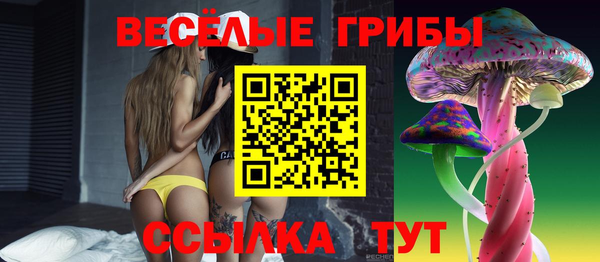 Псилоцибиновые грибы GOLDEN TEACHER  Вход с VPN  Галлюциногенные грибы Cubensis  Наро-Фоминск 